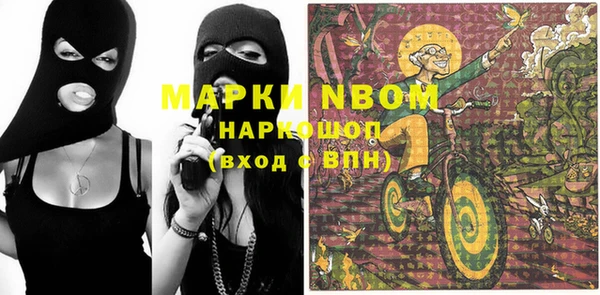 стаф Аркадак