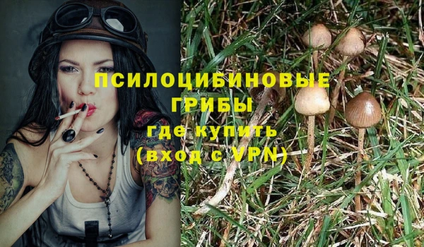spice Алексеевка