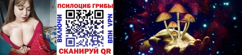 Псилоцибиновые грибы MAGIC MUSHROOMS  Купить закладки  Истра 